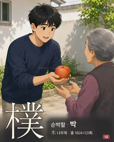 樸 (순박할 박) - 1급 썸네일