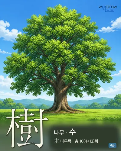 樹 (나무 수) - 6급 썸네일