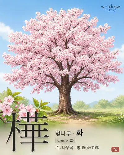 樺 (벚나무 화) - 2급 썸네일