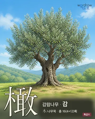 橄 (감람나무 감) - 특급Ⅱ 썸네일