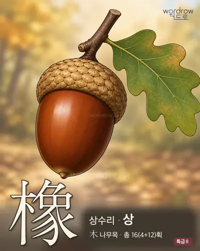 橡 (상수리 상) - 특급Ⅱ 한자 일러스트 카드