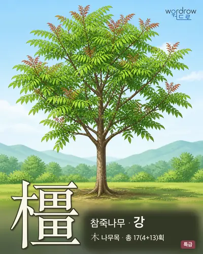 橿 (참죽나무 강) - 특급 썸네일