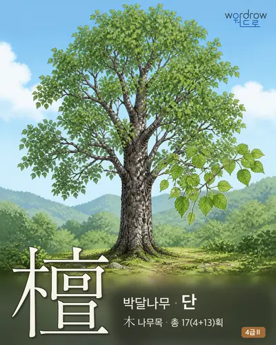 檀 (박달나무 단) - 4급Ⅱ 썸네일