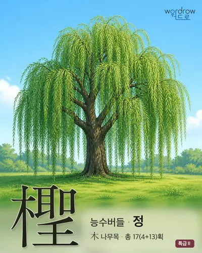 檉 (능수버들 정) - 특급Ⅱ 한자 일러스트 카드