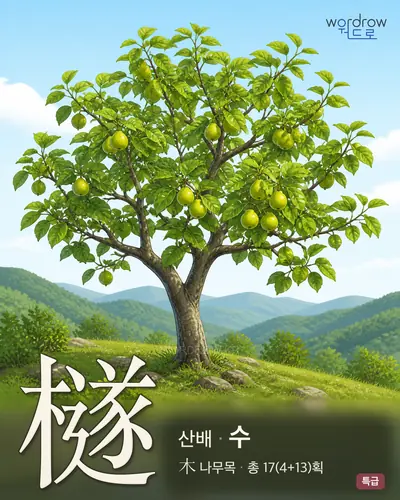 檖 (산배 수) - 특급 한자 일러스트 카드