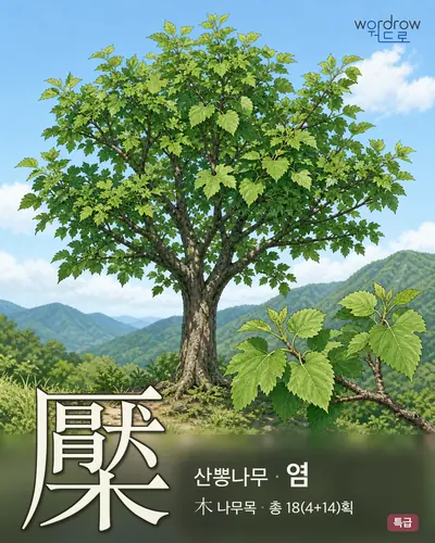 檿 (산뽕나무 염) - 특급 한자 일러스트 카드