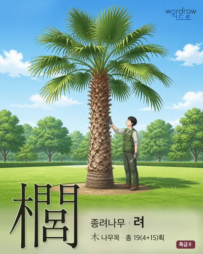 櫚 (종려나무 려) - 특급Ⅱ 한자 일러스트 카드