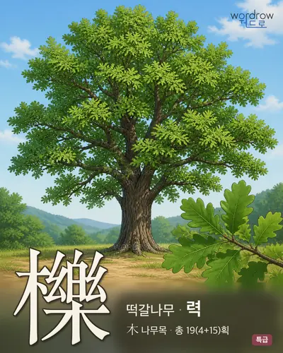 櫟 (떡갈나무 력) - 특급 한자 일러스트 카드