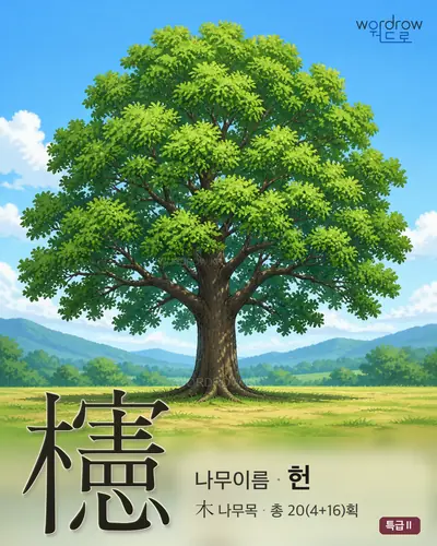 櫶 (나무이름 헌) - 특급Ⅱ 한자 일러스트 카드