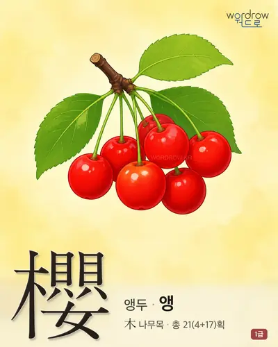 櫻 (앵두 앵) - 1급 썸네일