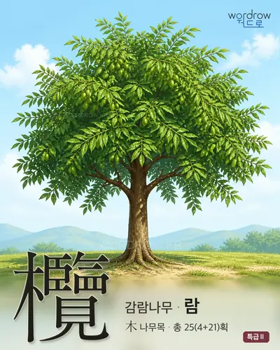 欖 (감람나무 람) - 특급Ⅱ 한자 일러스트 카드