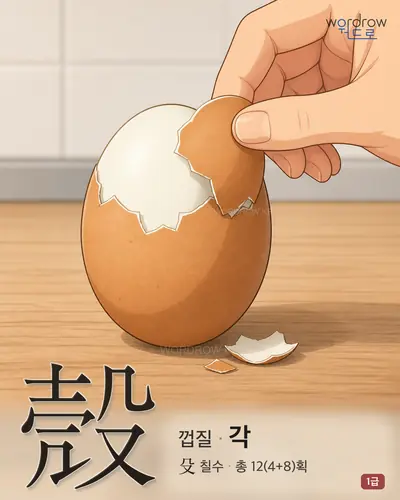 殼 (껍질 각) - 1급 썸네일