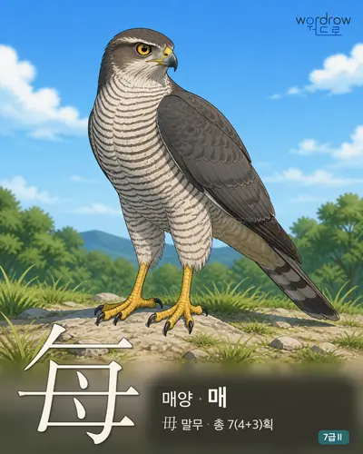 每 (매양 매) - 7급Ⅱ 썸네일