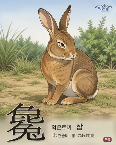 毚 (약은토끼 참) - 특급 한자 일러스트 카드
