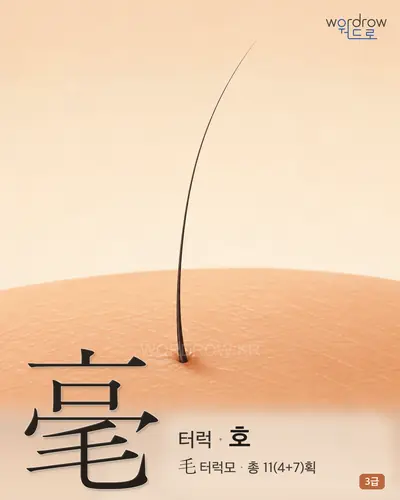 毫 (터럭 호) - 3급 한자 일러스트 카드