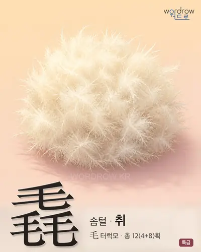 毳 (솜털 취) - 특급 한자 일러스트 카드