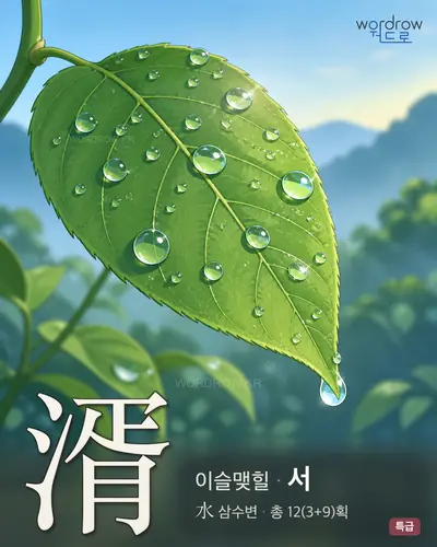 湑 (이슬맺힐 서) - 특급 한자 일러스트 카드