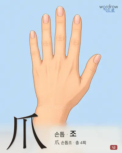 爪 (손톱 조) - 1급 썸네일