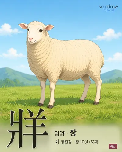 牂 (암양 장) - 특급 한자 일러스트 카드