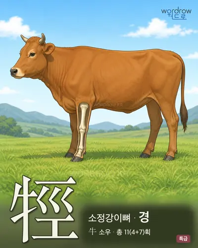 牼 (소정강이뼈 경) - 특급 썸네일