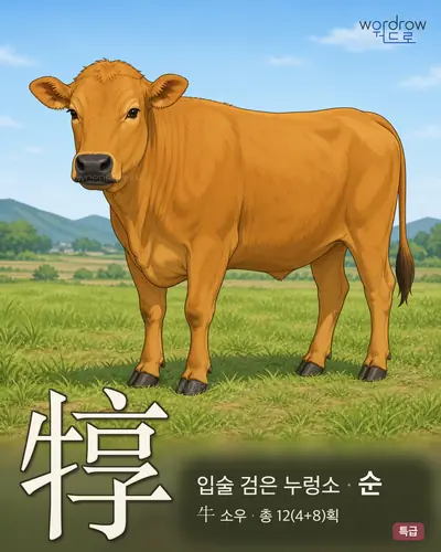 犉 (입술검은누렁소 순) - 특급 한자 일러스트 카드