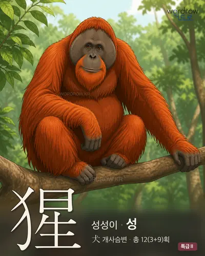 猩 (성성이 성) - 특급Ⅱ 썸네일