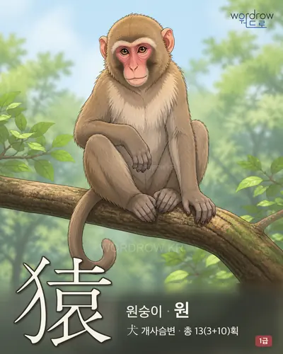 猿 (원숭이 원) - 1급 썸네일