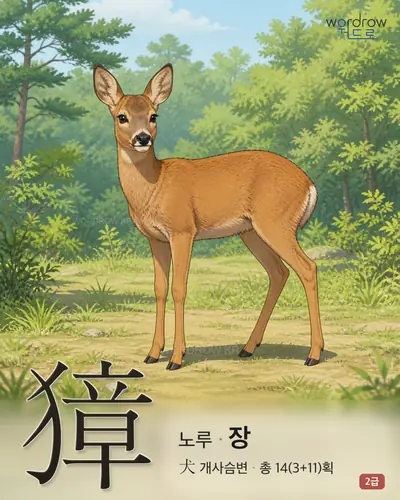 獐 (노루 장) - 2급 썸네일