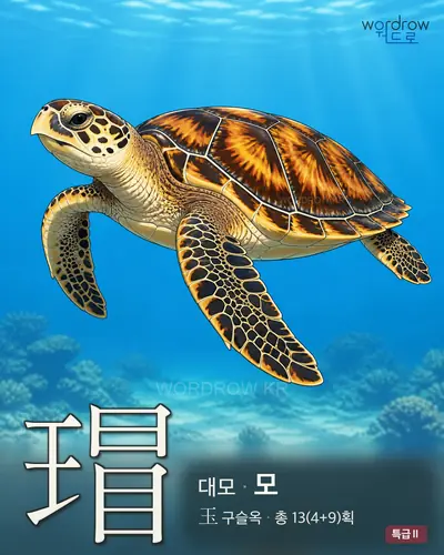 瑁 (대모 모) - 특급Ⅱ 한자 일러스트 카드