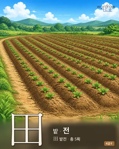 田 밭
