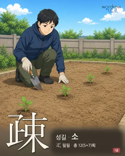 疎 (성길 소) - 1급 한자 일러스트 카드