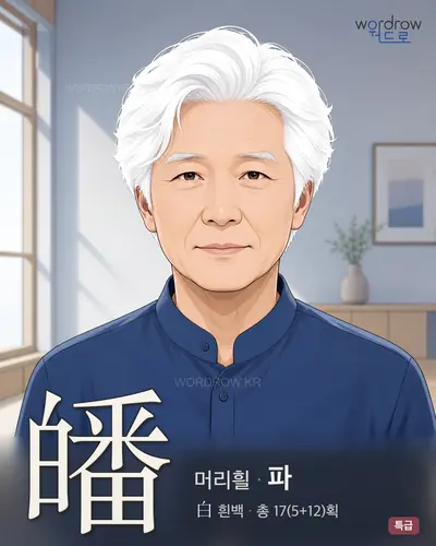 皤 (머리흴 파) - 특급 한자 일러스트 카드