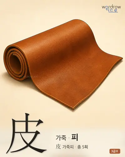 皮 (가죽 피) - 3급Ⅱ 한자 일러스트 카드