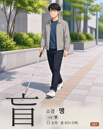 盲 (소경, 눈멀 맹) 썸네일