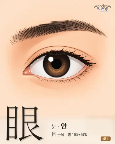 眼 (눈 안) - 4급Ⅱ 썸네일