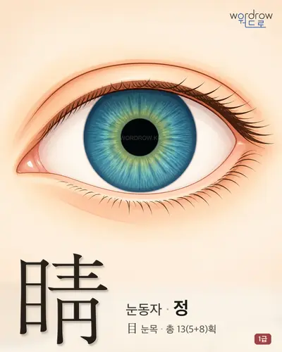 睛 (눈동자 정) - 1급 한자 일러스트 카드