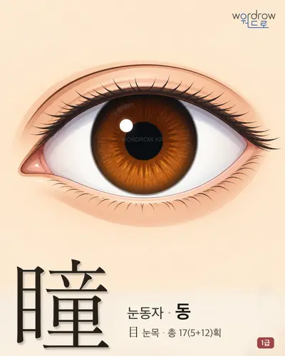 瞳 (눈동자 동) - 1급 썸네일