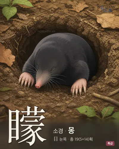 矇 (소경 몽) - 특급 한자 일러스트 카드