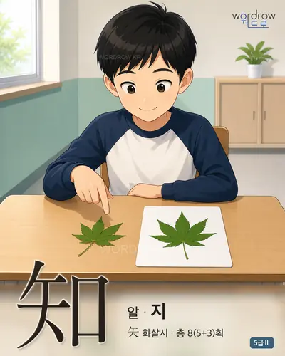 知 (알 지) - 5급Ⅱ 썸네일