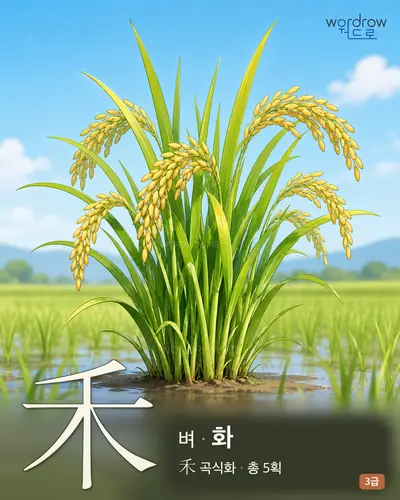 禾 (벼 화) - 3급 한자 일러스트 카드