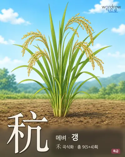 秔 (메벼 갱) - 특급 썸네일