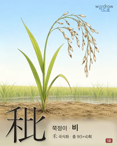 秕 (쭉정이 비) - 1급 썸네일
