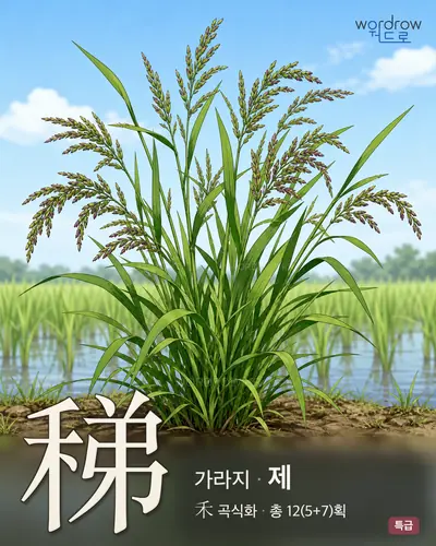 稊 (가라지 제) - 특급 한자 일러스트 카드