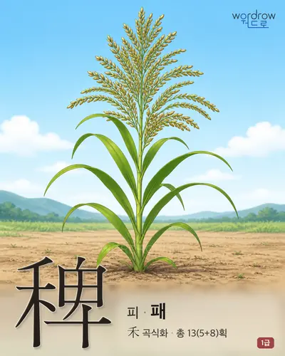 稗 (피[穀類] 패) - 1급 한자 일러스트 카드