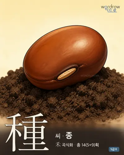 種 씨