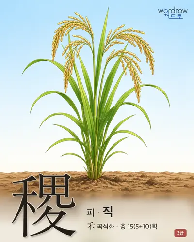 稷 (피[穀名] 직) 썸네일