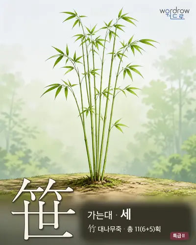 笹 (가는대[細竹] 세) - 특급Ⅱ 한자 일러스트 카드