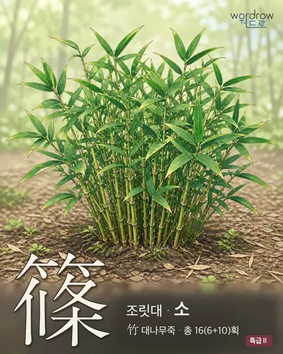篠 (조릿대 소) - 특급Ⅱ 한자 일러스트 카드