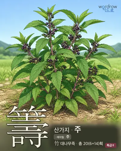 籌 (산가지 주) - 특급Ⅱ 썸네일