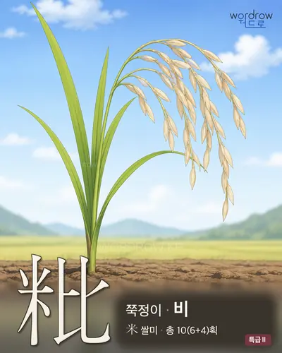 粃 (쭉정이 비) - 특급Ⅱ 한자 일러스트 카드